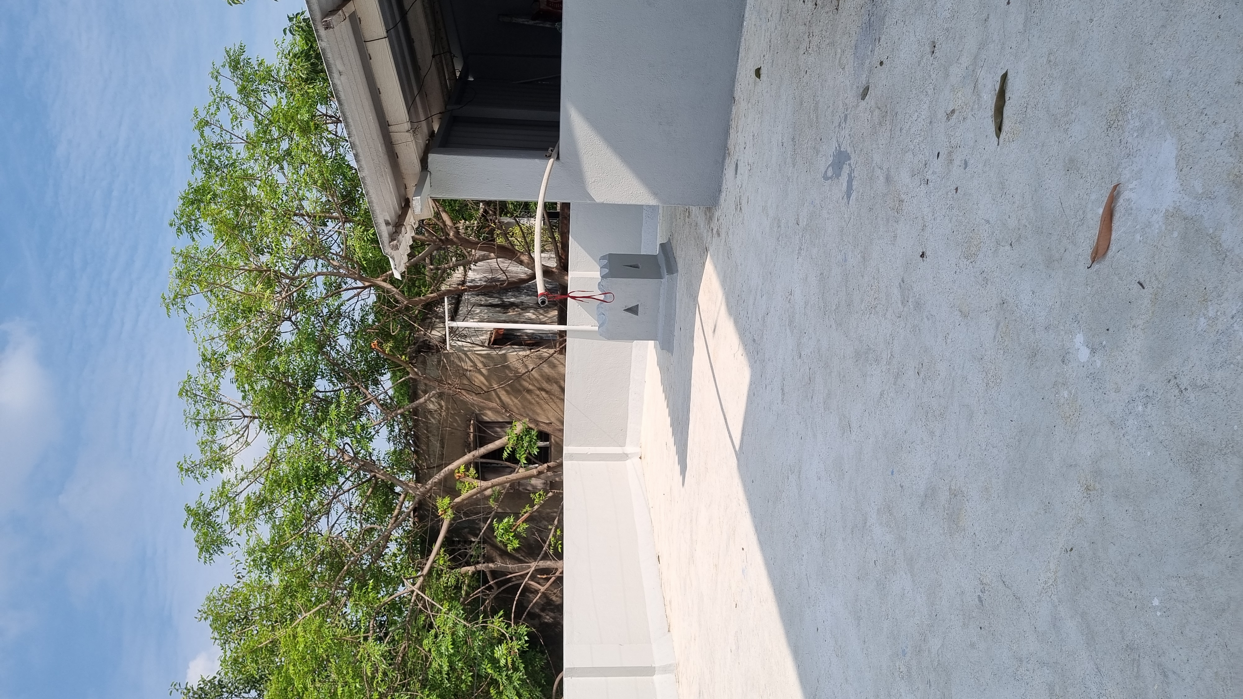 project-image